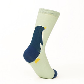 FAMILY SOCKS③ のコピー.jpg