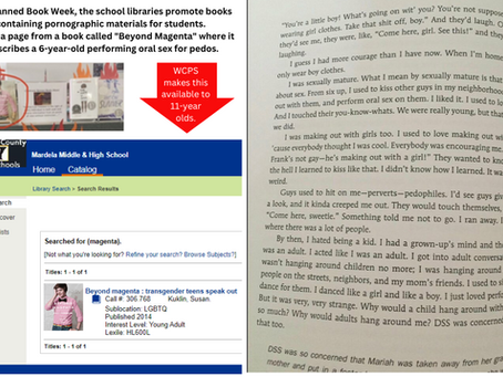 Where Do Wicomico School Board Candidates Stand On Removing Books From The School System?