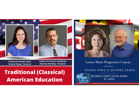 WCBOE At-Large Candidates: Traditional Learning vs. Progressive Learning