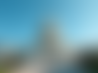 Enhancing Government Efficiency through Strategic Management Consulting