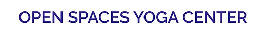 2025 Website Logo Dark Blue.jpeg