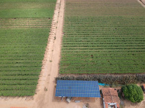 www.solardiamante.com - instagram.com/solardiamante - solar diamante - solardiamante - #solardiamante - SOLAR DIAMANTE EQUIPE ESCRETORIO - SOLAR DIAMANTE EQUIPE EXECUCAO - energia solar - solar diamante - solar - energia - petrolina-pe - pernambuco - bahia - brasil - google - economia - celpe - coelba - neoenergia