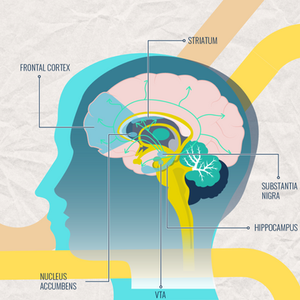 Dopaminergic Explanations for Learning in Schizophrenia