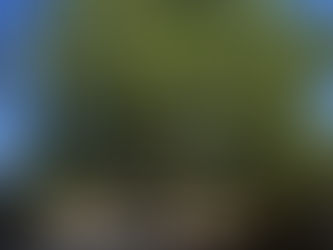 Time Does Go By Fast