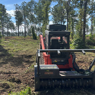 Uncovering the Transformative Benefits of Forestry Mulching for Sustainable Land Management