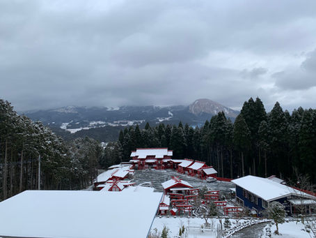 雪の未来樹の丘