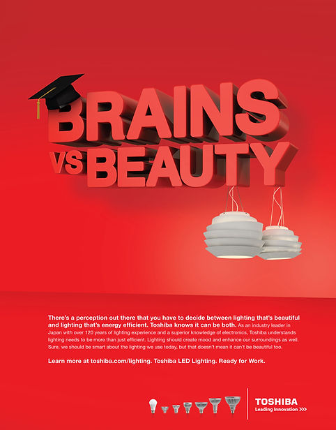 BRAINSWEB.jpg