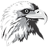 hainescoeagleclean.png