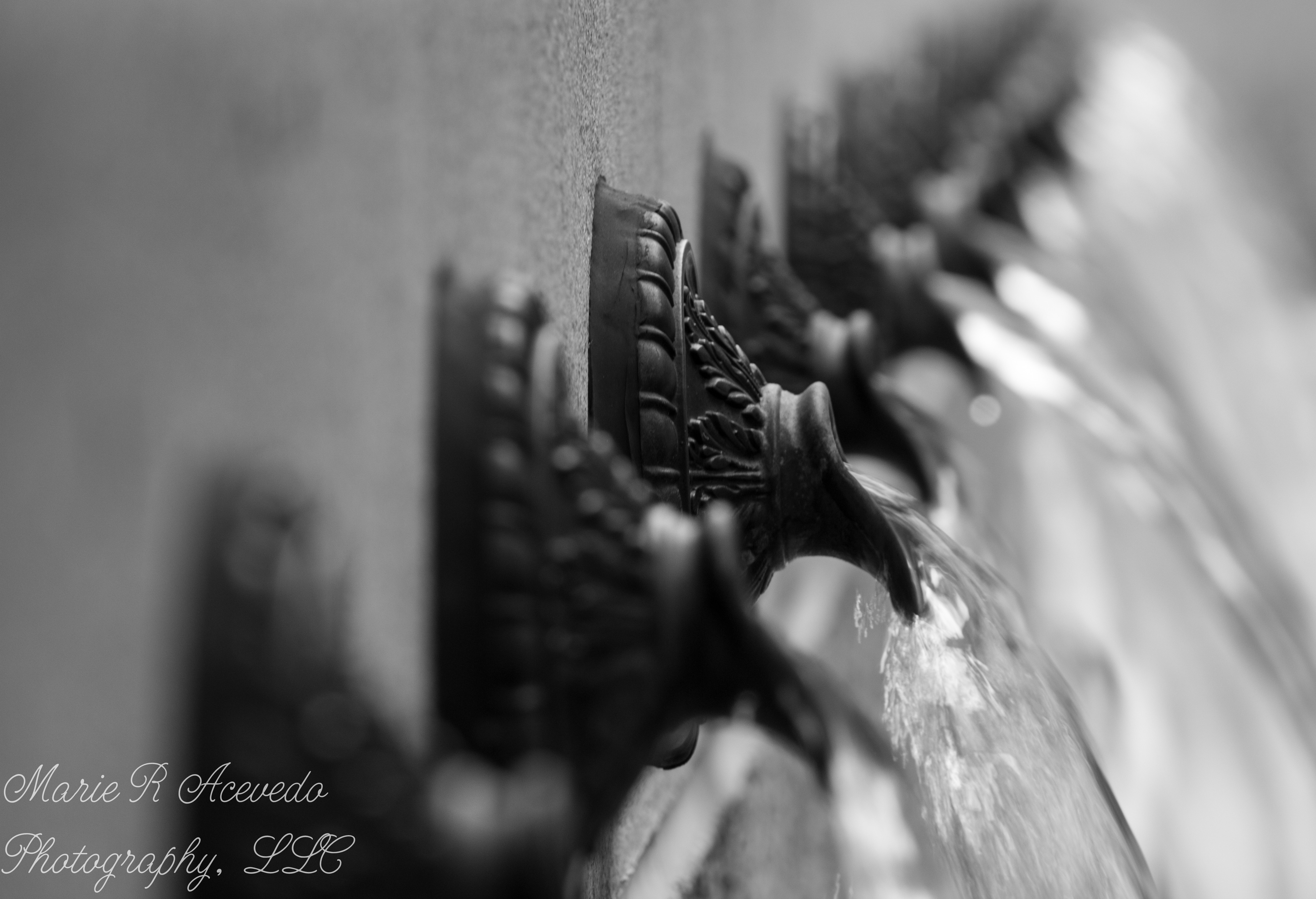 B&W Water Spout