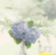 FUNDO SITE NUTRICIONISTA 2_edited.jpg