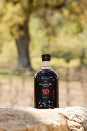 TrinityWheelerPhotography-33