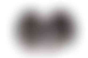 TrinityWheelerPhotography-10