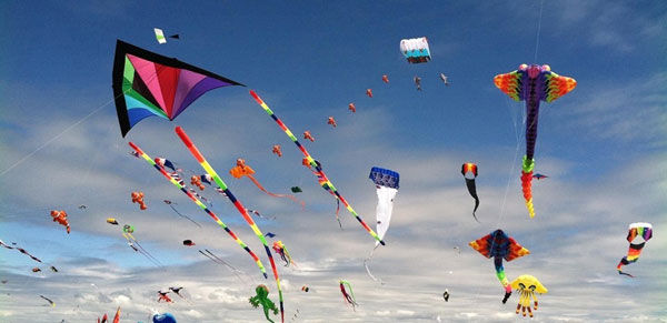 Family Kite Day & Curriculum Show & Tell or Swap : Bring Everyone! (CENTRAL, Friday)