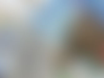 Frankowicze są obsługiwani przez całą rzeszę sędziów. Jednakże wciąż ich brakuje...