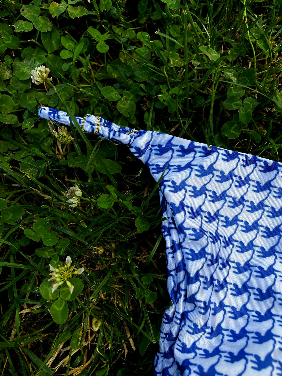 Thumbnail: Navy Bikini Top