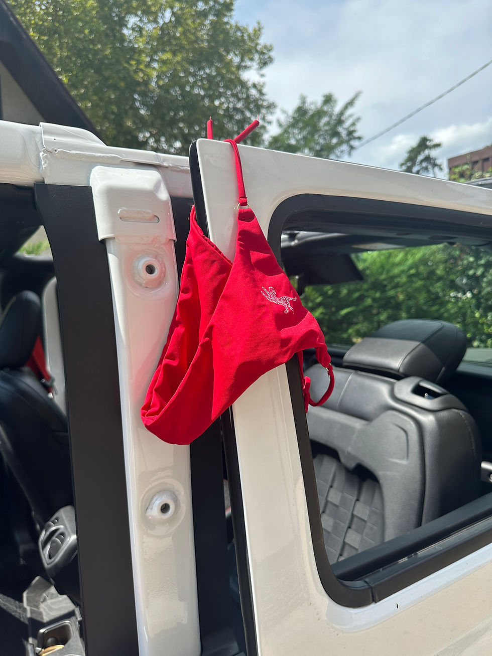 Thumbnail: Burgundy Bikini Bottom