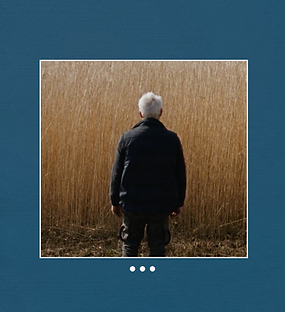 netherlands-enters-Reedland-in-best-international-film