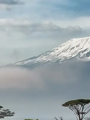 Kilimanjaro