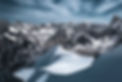 Transformation Execution Partners