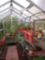 Greenhouse