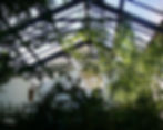 Skylight/Biolarium