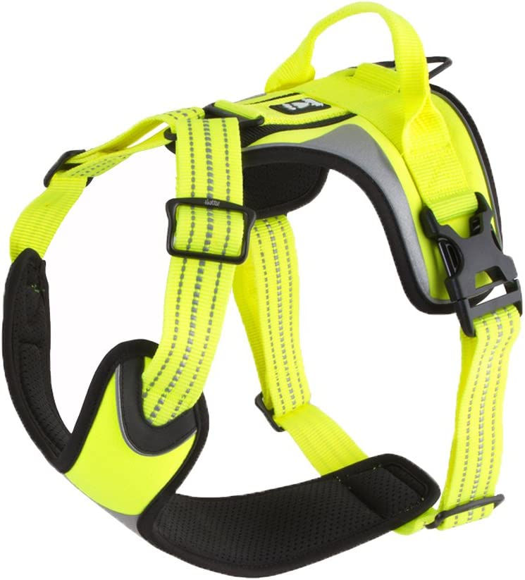 HURTTA - Dazzle Harness