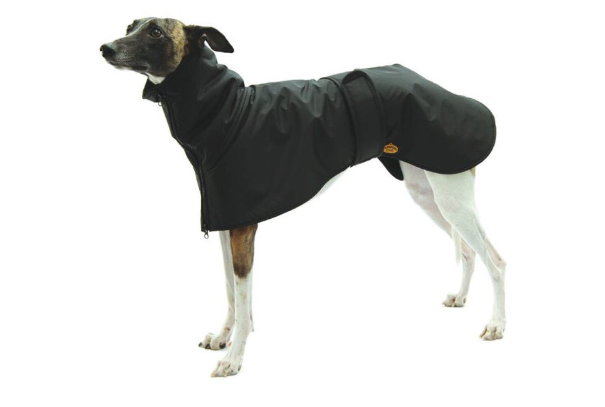 FASHION DOG - Cappotto Levriero