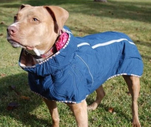 Miniatura: HURTTA - Quilted Jacket