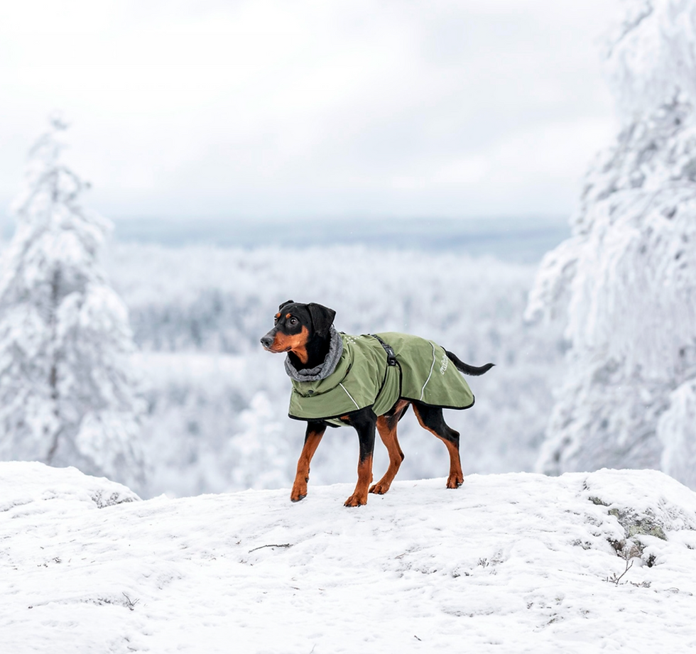 Miniatura: RUKKA - Warmup 2.0 Coat