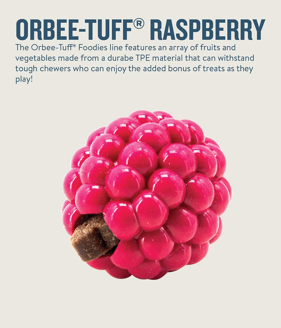 Miniatura: ORBEE - TUFF - Raspberry