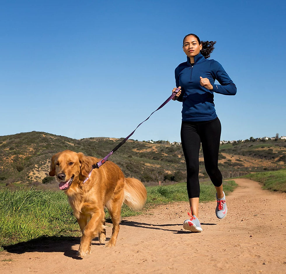 Miniatura: Halti Active Lead