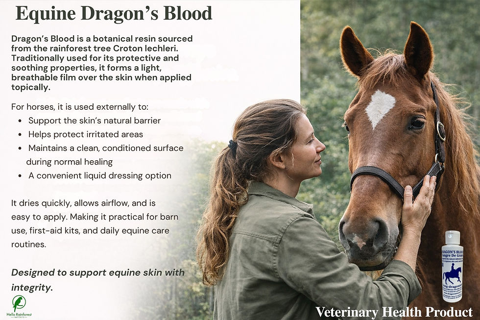 Thumbnail: Dragon's Blood for Equine