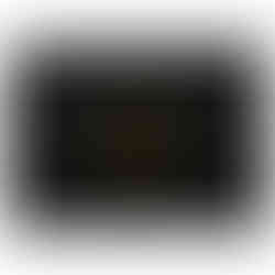 Front angled view with a protective grill covering the speaker cone.