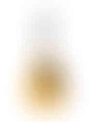 Another front view similar as first image