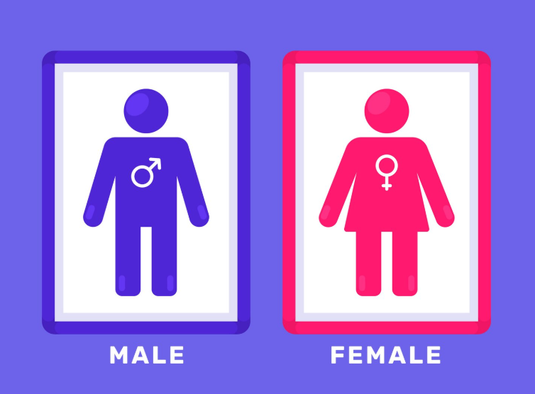 Male and female icons at Sujana Academy Of Innovation