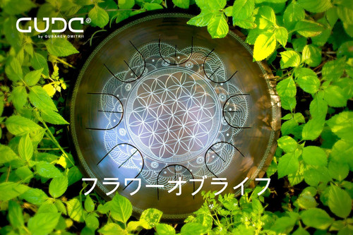 グーダドラム　ミニオーバートーンプラス　専用バッグ付き 🌟ミニオーバートーンプラス | gudadrumJAPAN