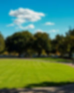 A lush green lawn with trees under a blue sky and clouds. A path curves through the park, with a serene and peaceful atmosphere.
