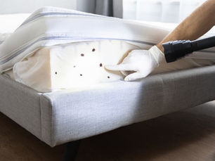 Person in gloves points at bedbugs on a mattress while inspecting with a flashlight. Light-filled room with wooden floor and fabric bed.
