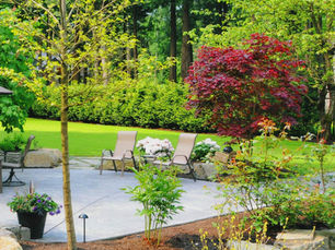 Sunny garden with patio, two chairs facing green lawn, surrounded by trees and colorful bushes. Stone edging and potted plants create a serene setting.