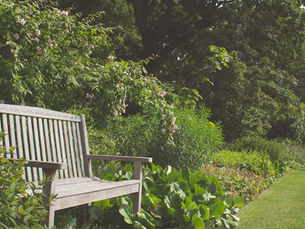 Wooden bench in a garden surrounded by lush greenery and blooming flowers. Sunlit scene with a peaceful, serene mood.
