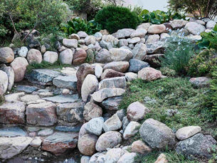 Stone steps in a garden with large rocks and lush greenery surround the path. Vegetation includes shrubs and ground cover, creating a serene scene.