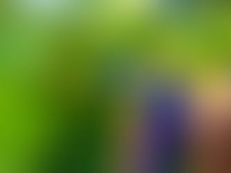 Hand spraying water on large, green leaves with a blue and yellow spray bottle in a lush garden setting. Sunny and vibrant colors.