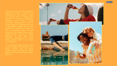 Bildschirmfoto 2024-12-19 um 16.12.35