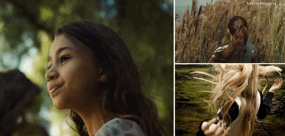 Dec-21-2024 15-37-07