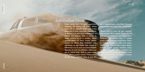 Chevy Silverado_anonym.003