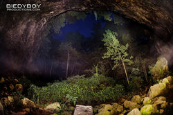 11222550_10101309384031187_8771130827408021729_o