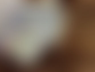 The Bronx Community Foundation and IFEL Create Bronx Small Business Initiative 