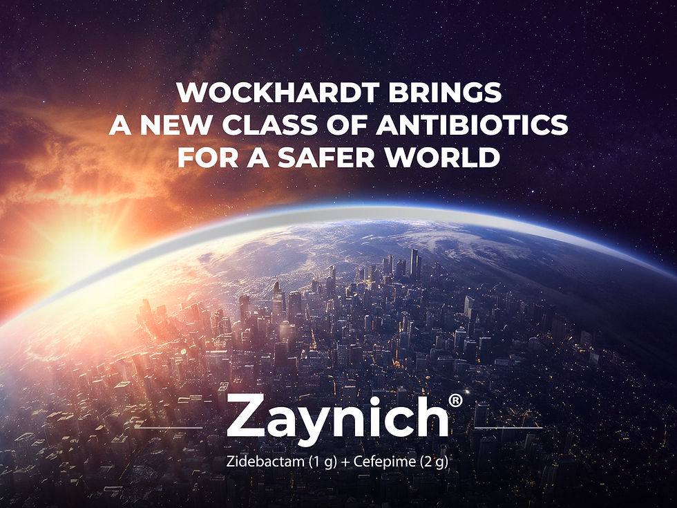 Zaynich_Criticare Video_v1-01.jpg