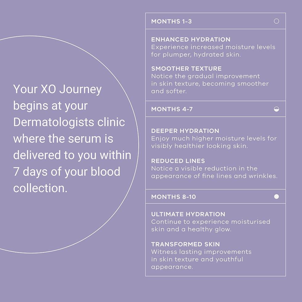 XO Brochure.pdf.png
