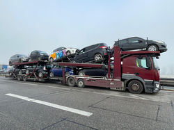 PHOTO-2025-02-17-19-15-52